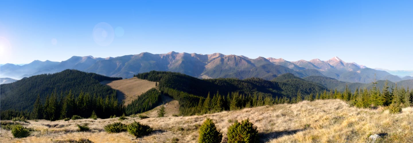 Інститут екології Карпат (на фото гірський масив Чорногора)