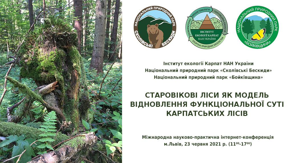 Старовікові ліси як модель відновлення функціональної суті карпатських лісів Старовікові ліси як модель відновлення функціональної суті карпатських лісів