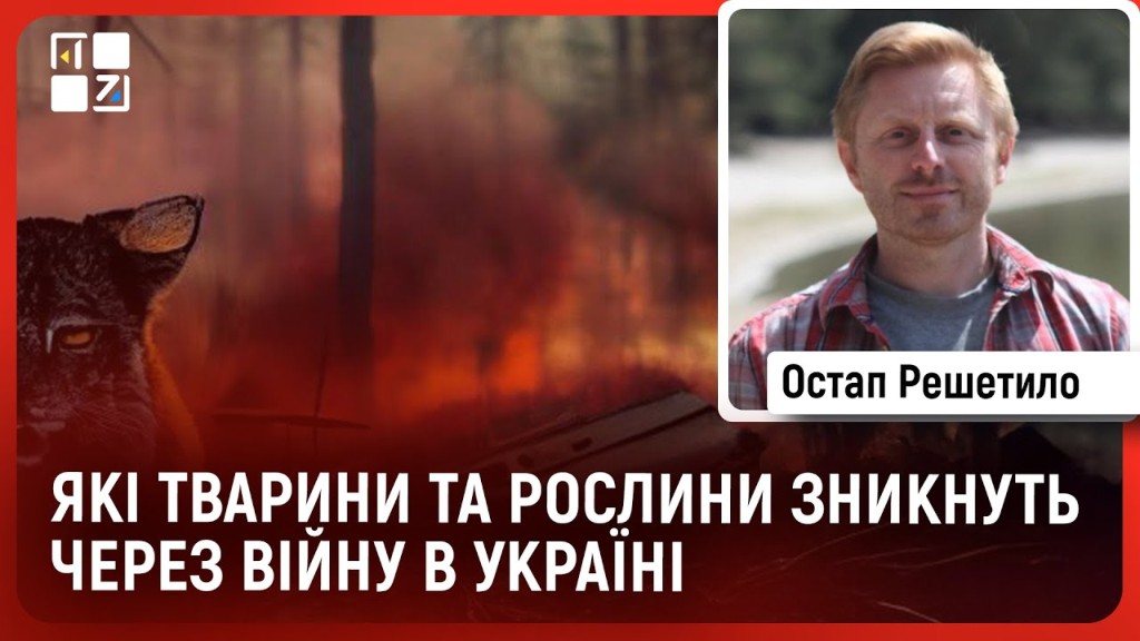 Екологічні наслідки війни. Які види тварин і чому можуть зникнути назавжди? Яка ситуація з національними парками, зокрема біосферним заповідником “Асканія-Нова”?