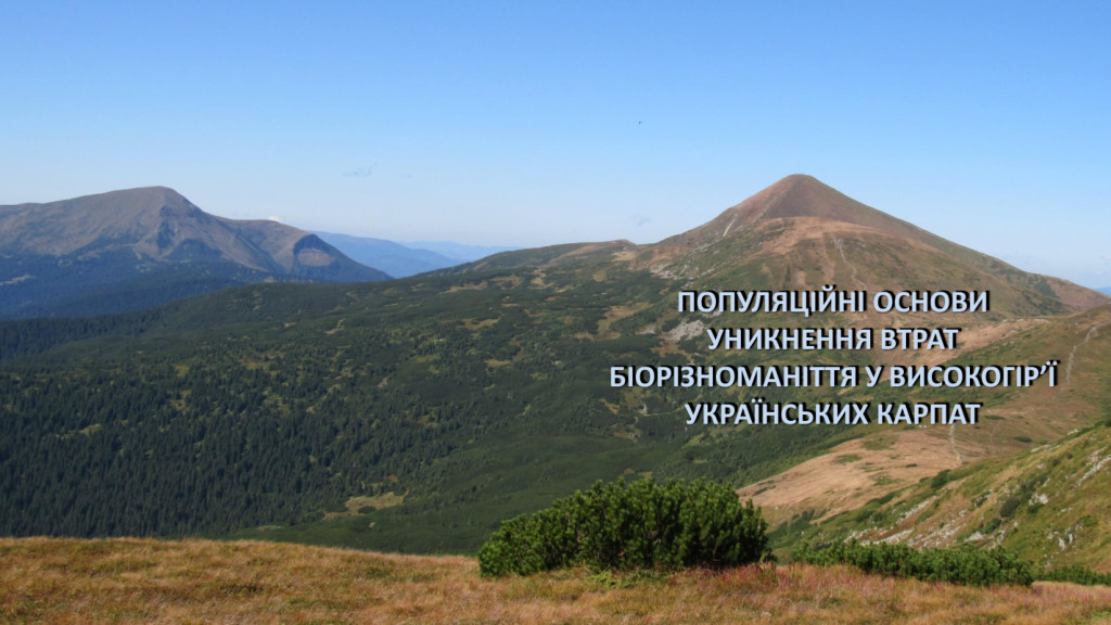 “Популяційні основи уникнення втрат біорізноманіття у високогір’ї Українських Карпат” “Популяційні основи уникнення втрат біорізноманіття у високогір’ї Українських Карпат”