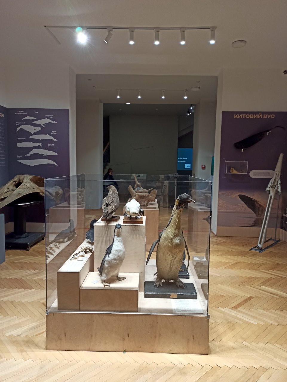 Виставка «Експедиція до Антарктиди»