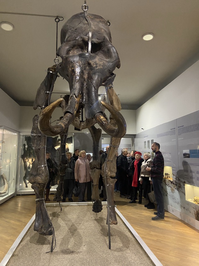 Керівник лабораторії екології тварин, д.б.н., с.н.с. Андрій Бокотей проводить екскурсію для співробітників Інституту екології Карпат НАН України (виставка «Льодовикова епоха»)