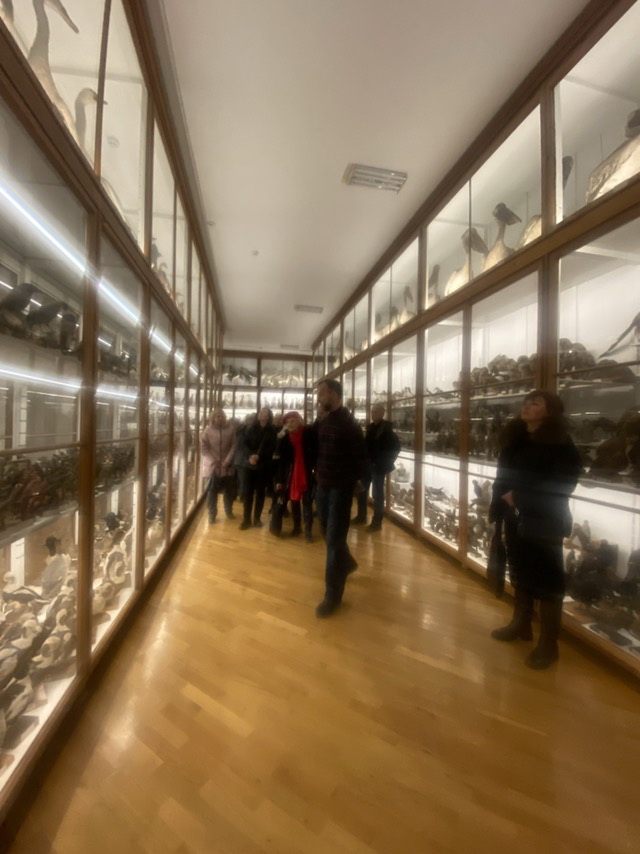 Під час відвідання експозиції «Володимир Дідушицький і його музей» (орнітологічна збірка Музею 3);