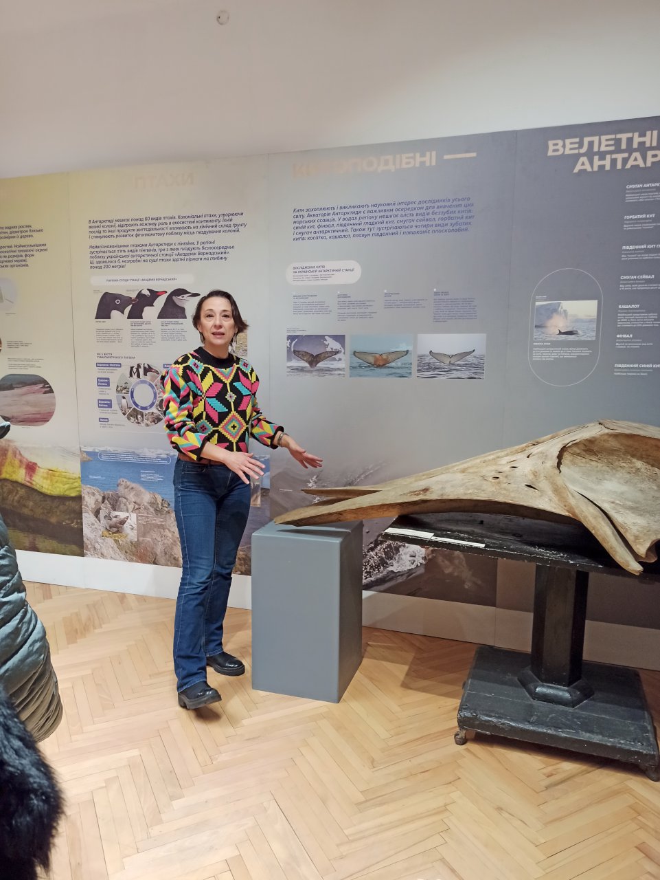 Керівник лабораторії науково-музейної комунікації та експозиції, к.б.н. Анастасія Савицька проводить екскурсію для співробітників Інституту екології Карпат НАН України (виставка «Експедиція до Антарктиди»)