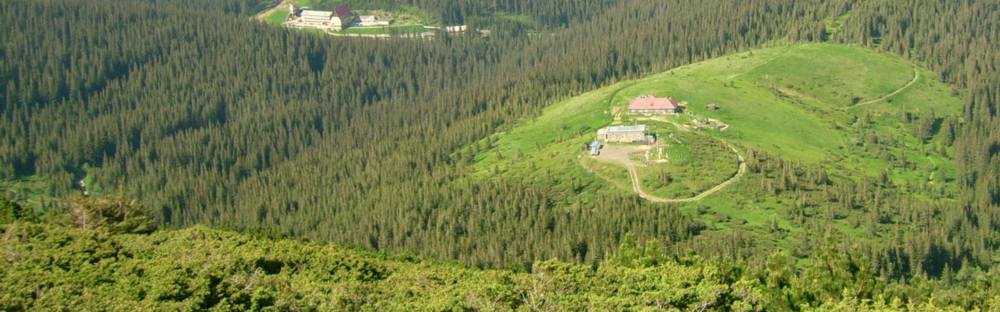 Високогірний біологічний стаціонар на г. Пожижевська у Чорногорі стаціонар на г. Пожижевська