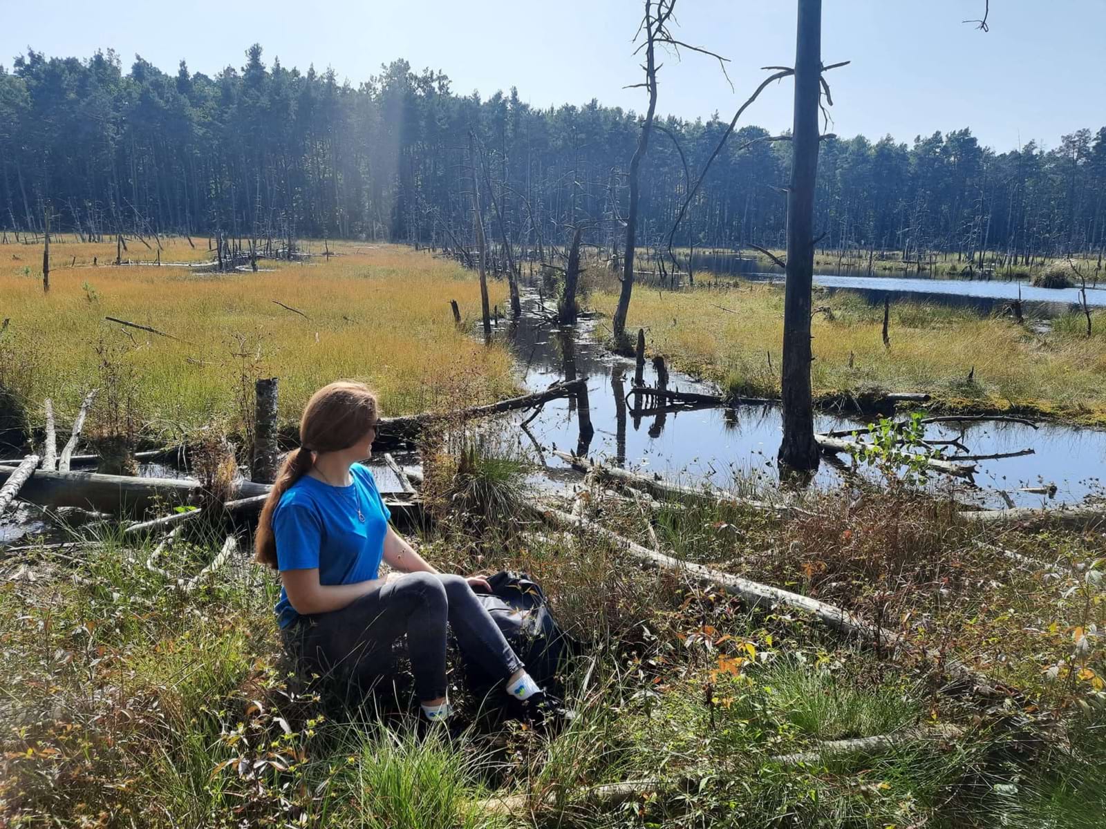 Польова поїздка на територію Природного заповідника Болото Боціановське, Мазовецький ландшафтний парк. Польова поїздка на територію Природного заповідника Болото Боціановське, Мазовецький ландшафтний парк.